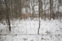 barbed wire and a snowy field 