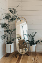 Mirror and plants in front of shiplap wall
