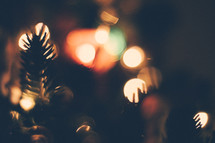 Christmas tree lights 