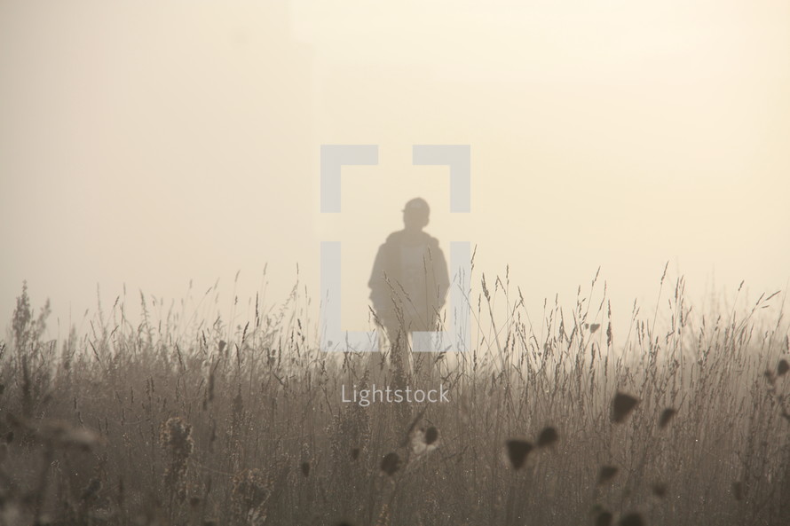 silhouette of a man walking through a field of tall grasses 