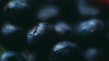 blueberries 