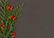 greenery and red berries on a black background 