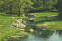 a stream through a meadow of green grass 