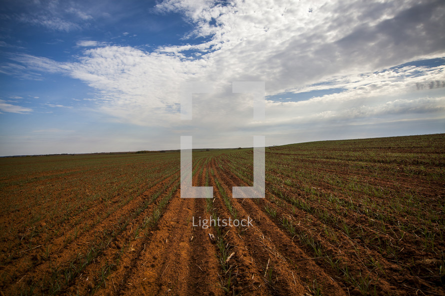 A cloudy sky over a plowed field.