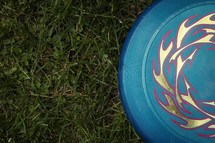 frisbee in the grass 