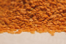 orange lentils 