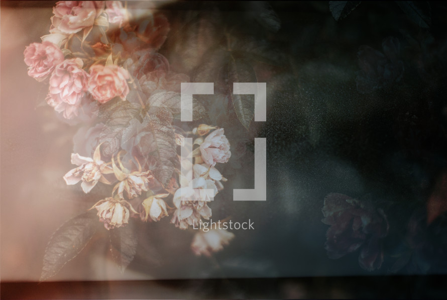 dreamy floral background in layers