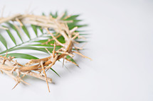 Palm fronds, Palm Sunday, crown of thorns, Good Friday, holy week 