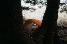camping under trees by a lake shore 
