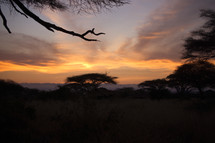 sunrise over the African Savanna 