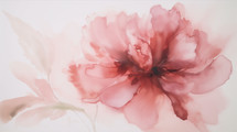 Pink Floral Watercolor