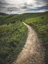 path along a mountainside 