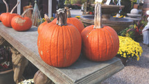 Fall Autumn October pumpkins for harvest party or trunk or treat