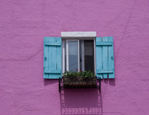 Blue and white window with flower box on bright pink wall