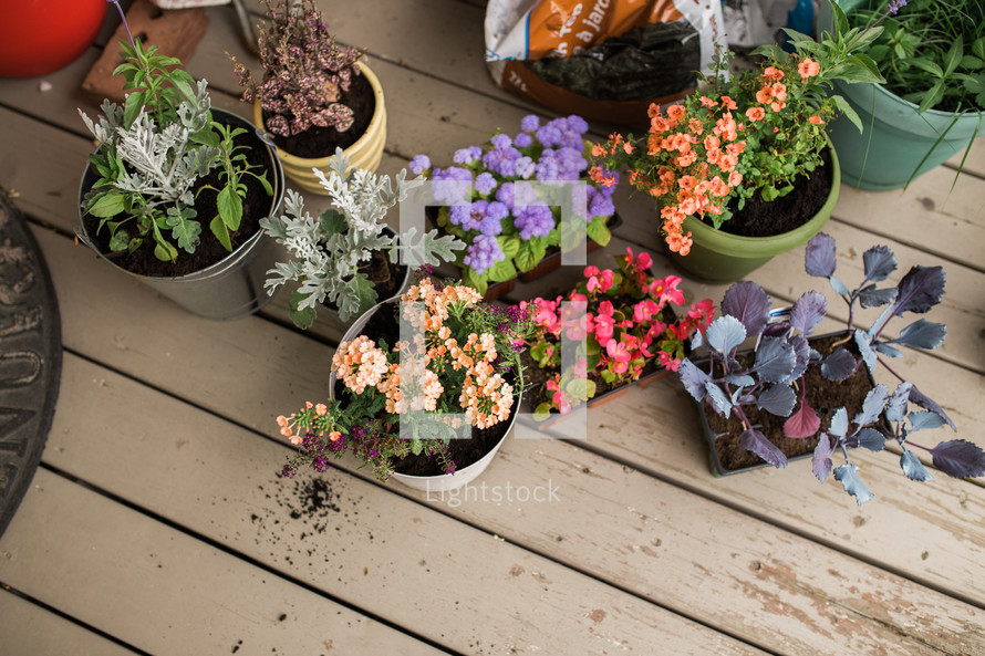 flower pots on a porch 
