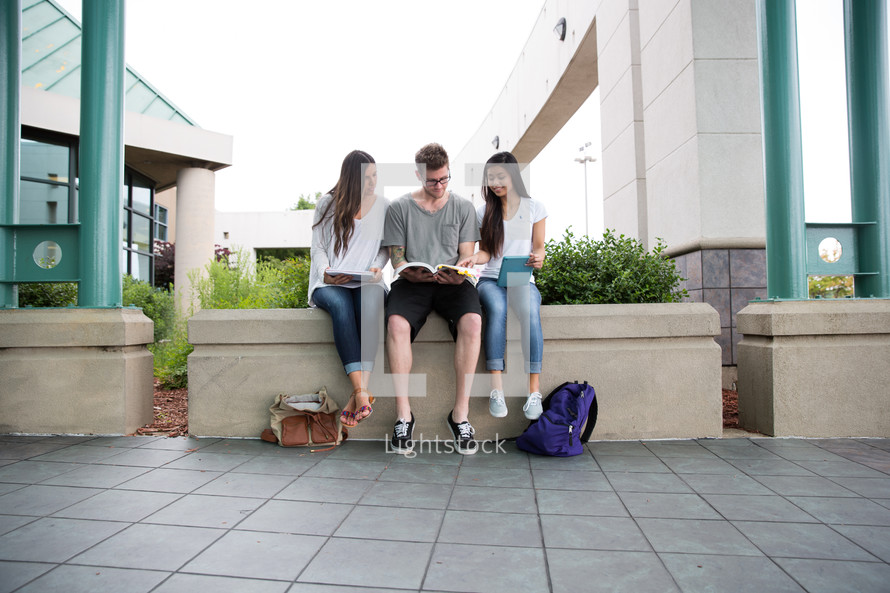college students on campus sitting studying together.