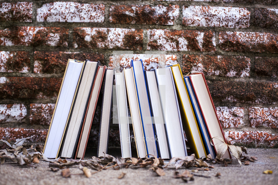 row of books against a brick wall 