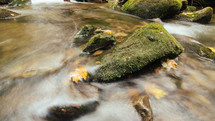 water flowing in a stream 