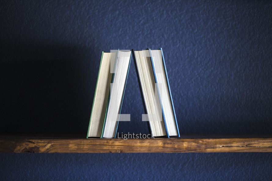 Four books on a wooden shelf against a blue wall.