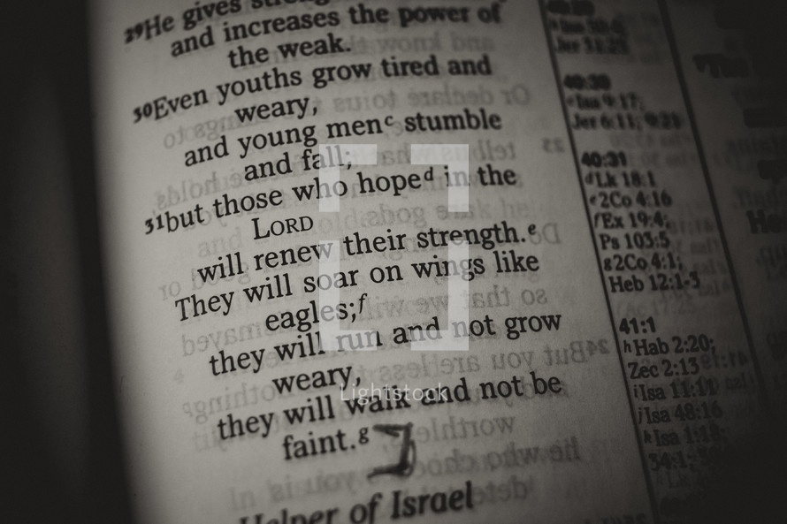Bible verse about hope
