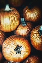 A group of pumpkins