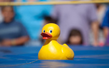 rubber duck sitting on stage