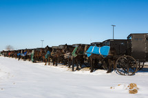 Amish horses lined up with buggies in the snow