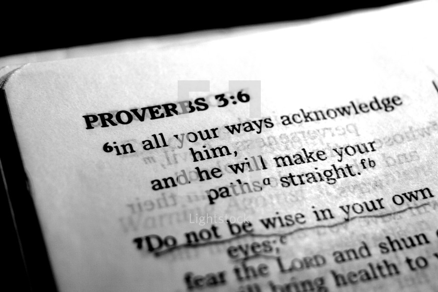 Proverbs 3:6 