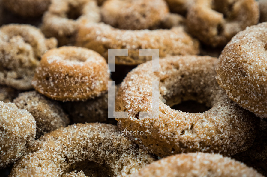 sugared donuts 