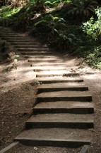 steps cut into dirt on a nature trail 