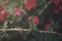 Man standing on a thorny stem of a rose bush.