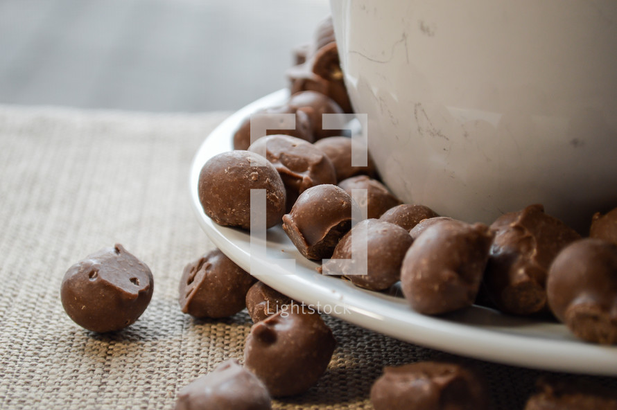 chocolate covered coffee beans 