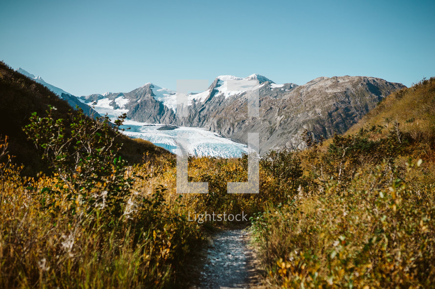 Portage Pass - glacier with foliage