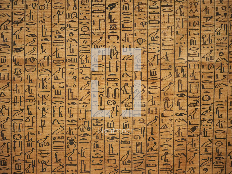 TURIN, ITALY - CIRCA AUGUST 2015: Ancient egyptian papyris at Museo Egizio (meaning Egyptian Museum)