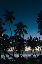 string of lights and palm tree silhouettes 
