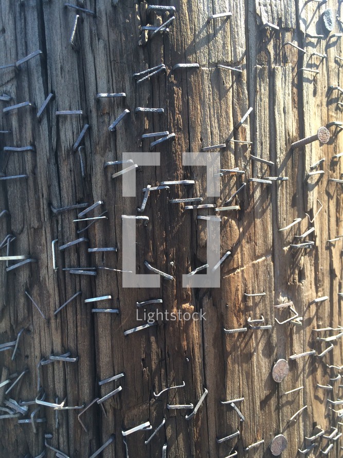 staples in a telephone pole 