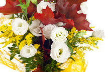 Lisianthus and autumn leaves on white background.