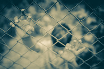 child's hands on a chain link fence 