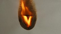 Paper bursting into flames