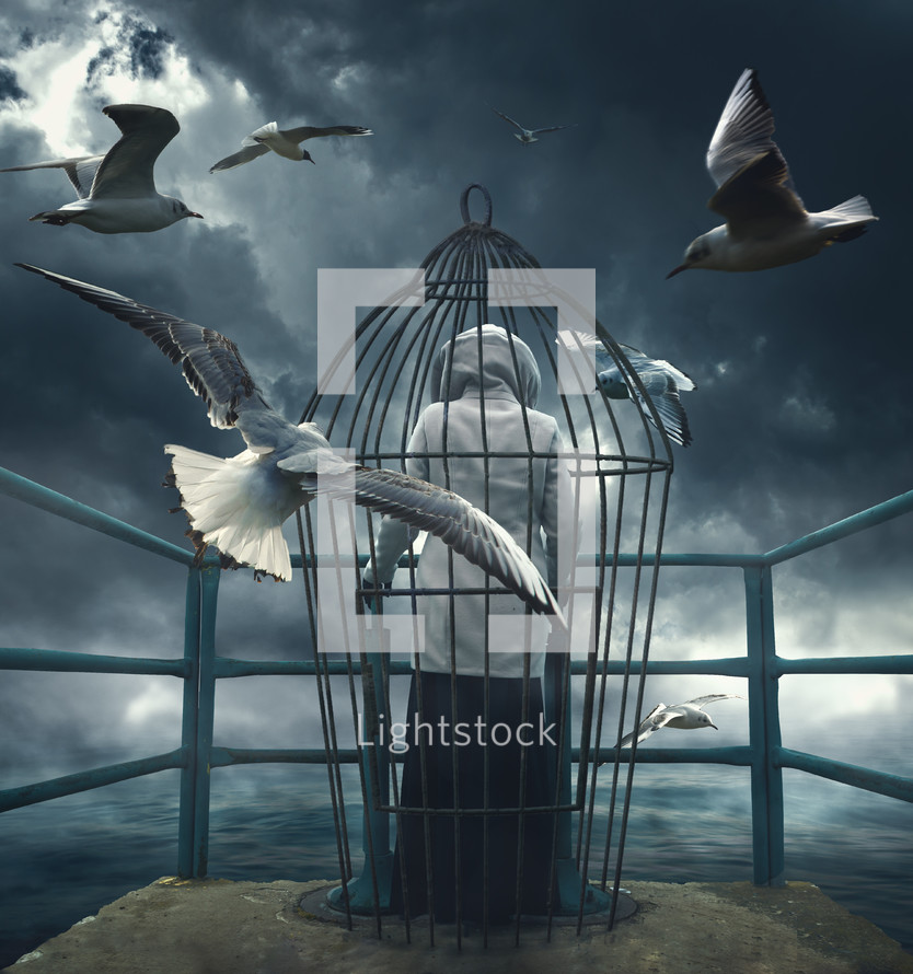 seagulls flying around a person in a bird cage 