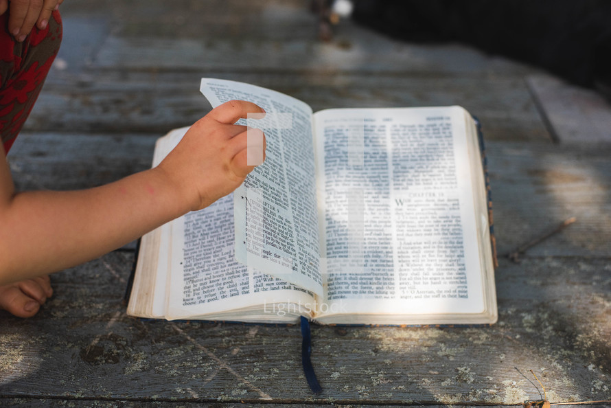 boy reading a Bible 