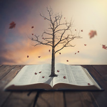 Leaves blowing off a tree, rooted in a Bible, resting on wooden planks.