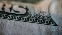 money closeup 