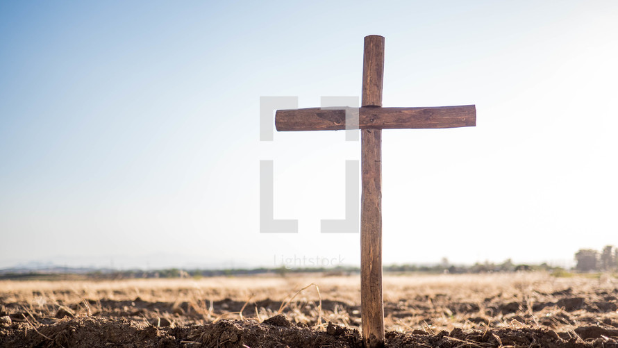 wooden cross in the ground 
