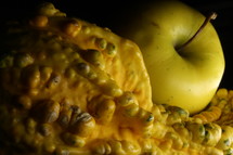apple and bumpy gourd 