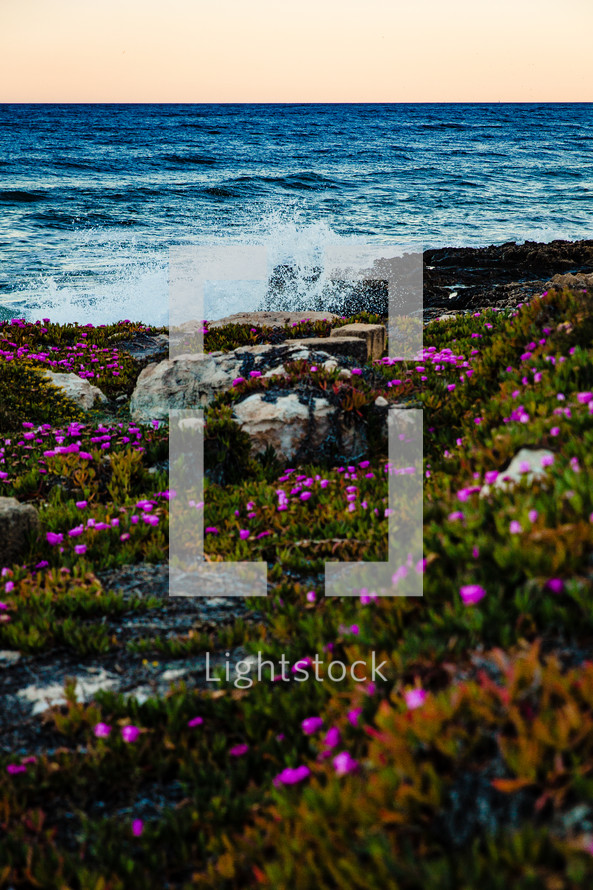 sea water splashing onto a shore and flowers in Spain 
