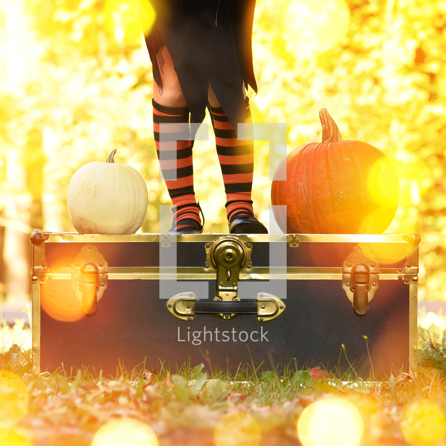 a girl in a witch costume standing on a trunk near pumpkins 