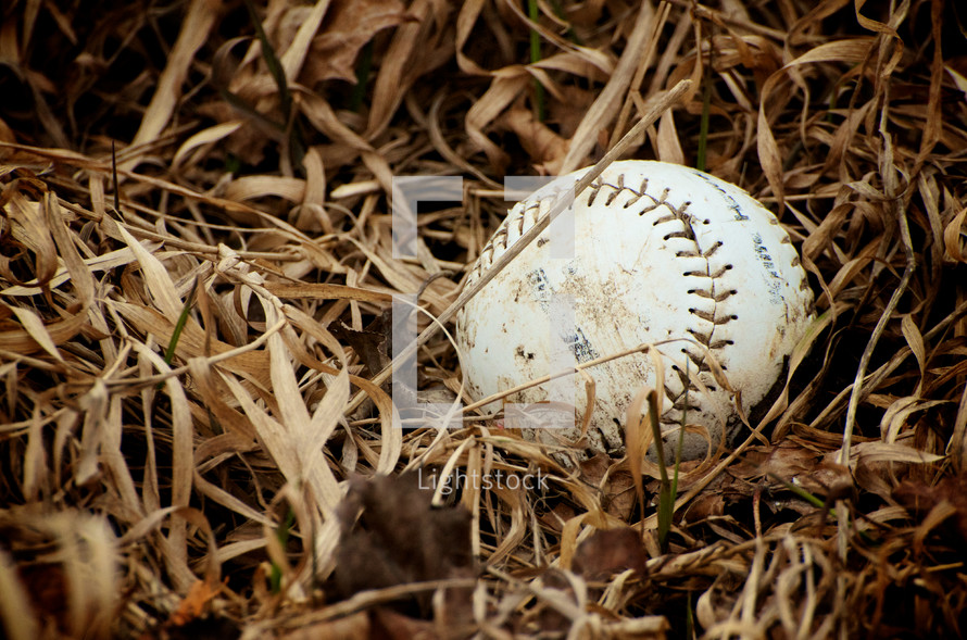 Baseball in the grass