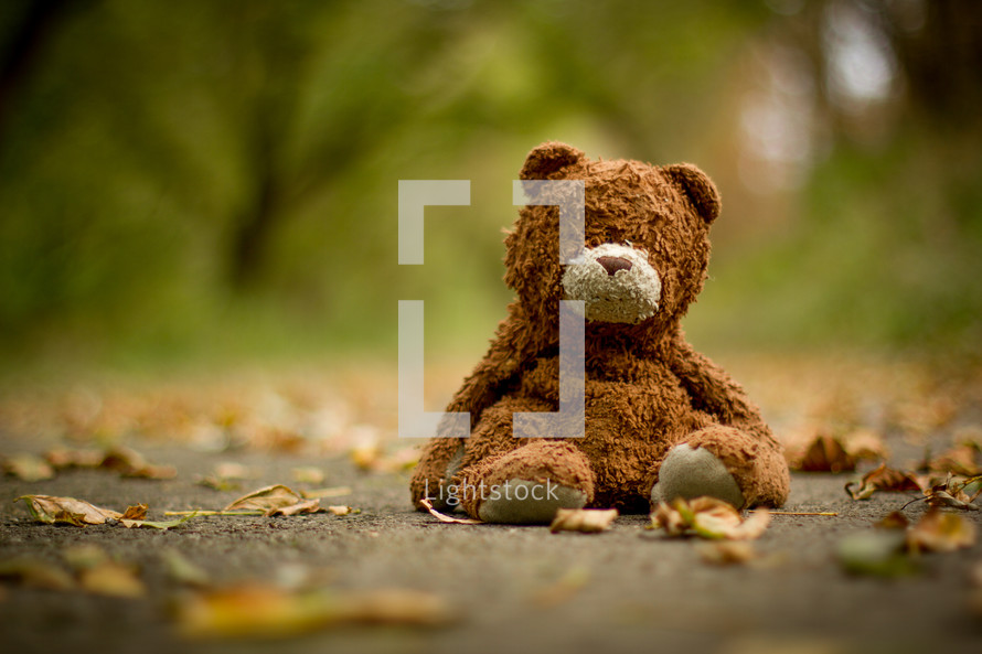 old teddy bear in leaves on a sidewalk
