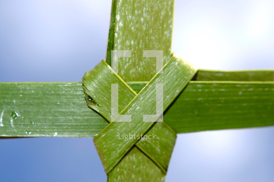 palm cross close-up 